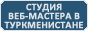 Разработка интернет-магазина в Туркменистане